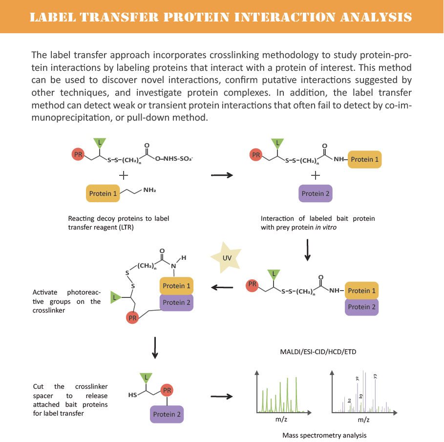 creative-proteomics-04.png