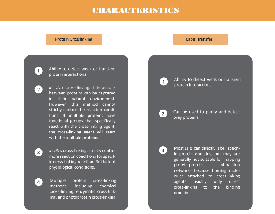 creative-proteomics-05.png