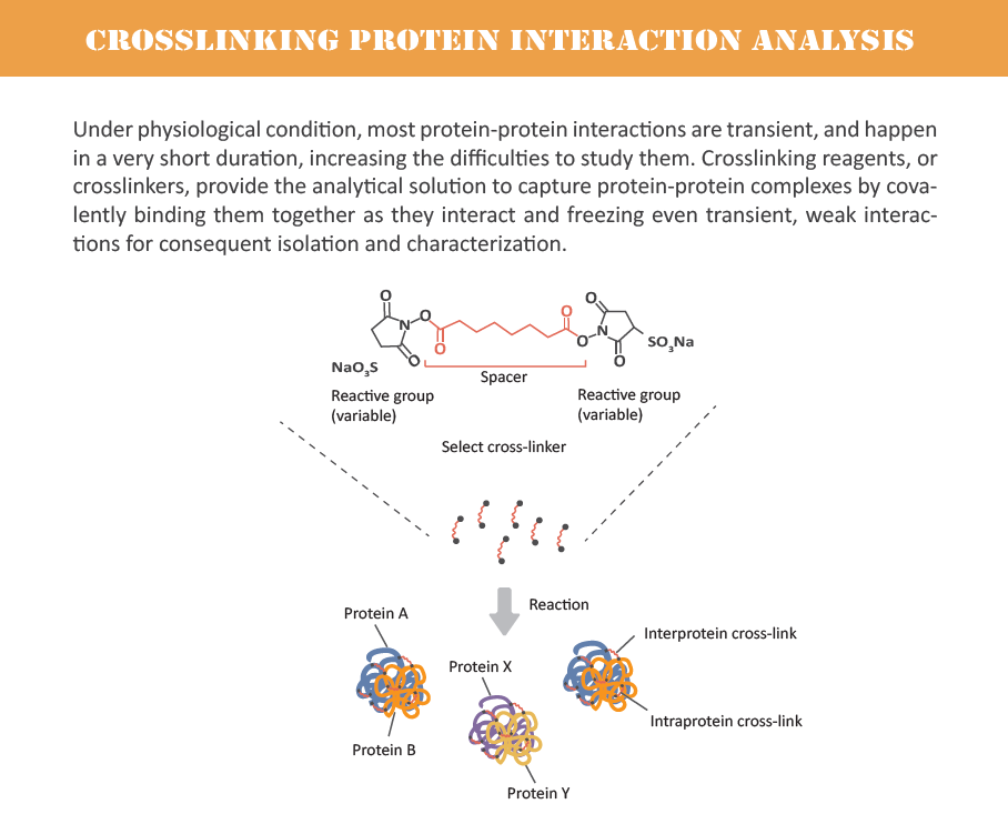 creative-proteomics-02.png