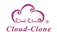Cloud Clone